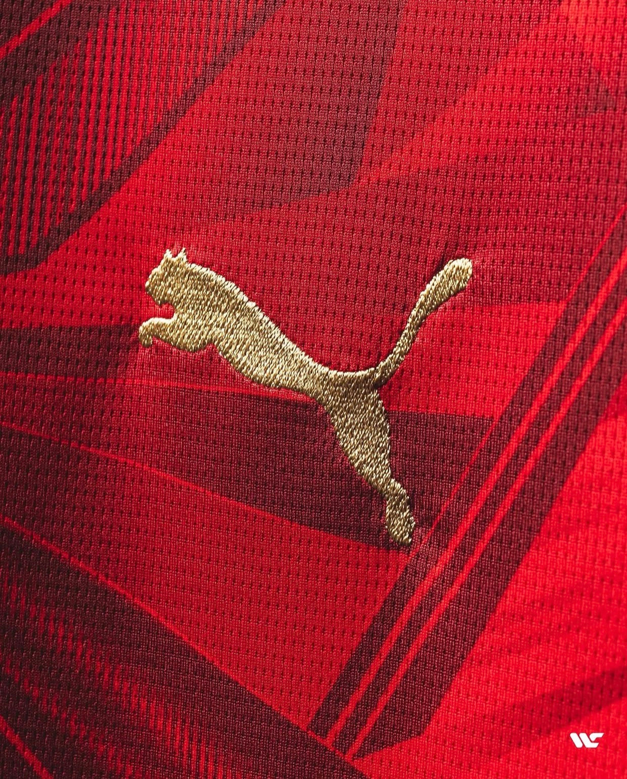 Egypt National Team Jersey 2026