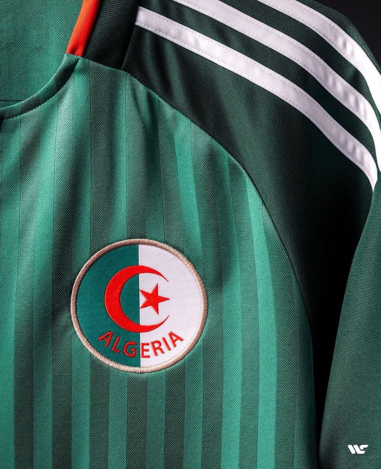 Algeria National Team Jersey 2026